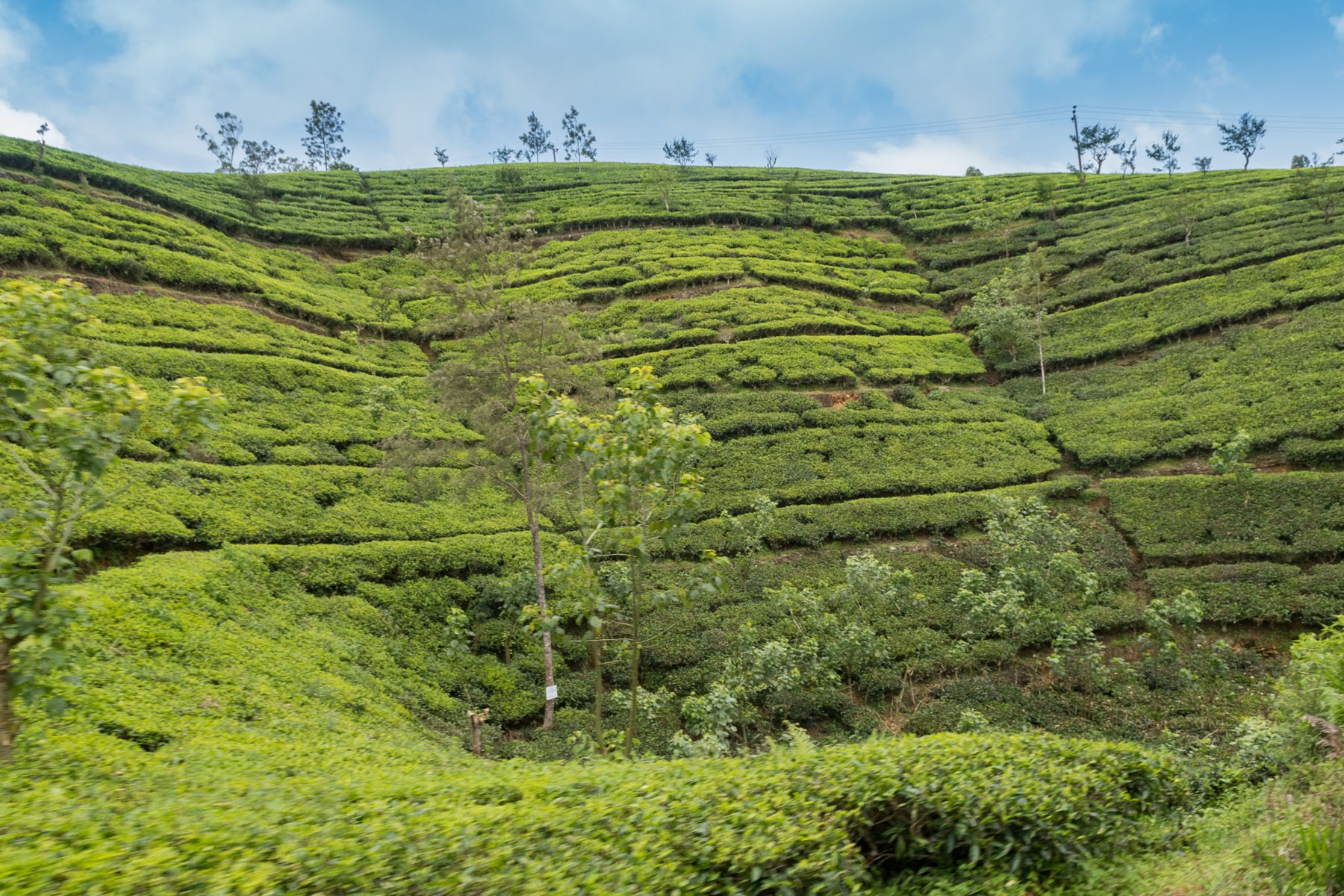 Sri Lankan journey inspiration